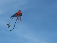 Sekrety wiatru i Latawcówka